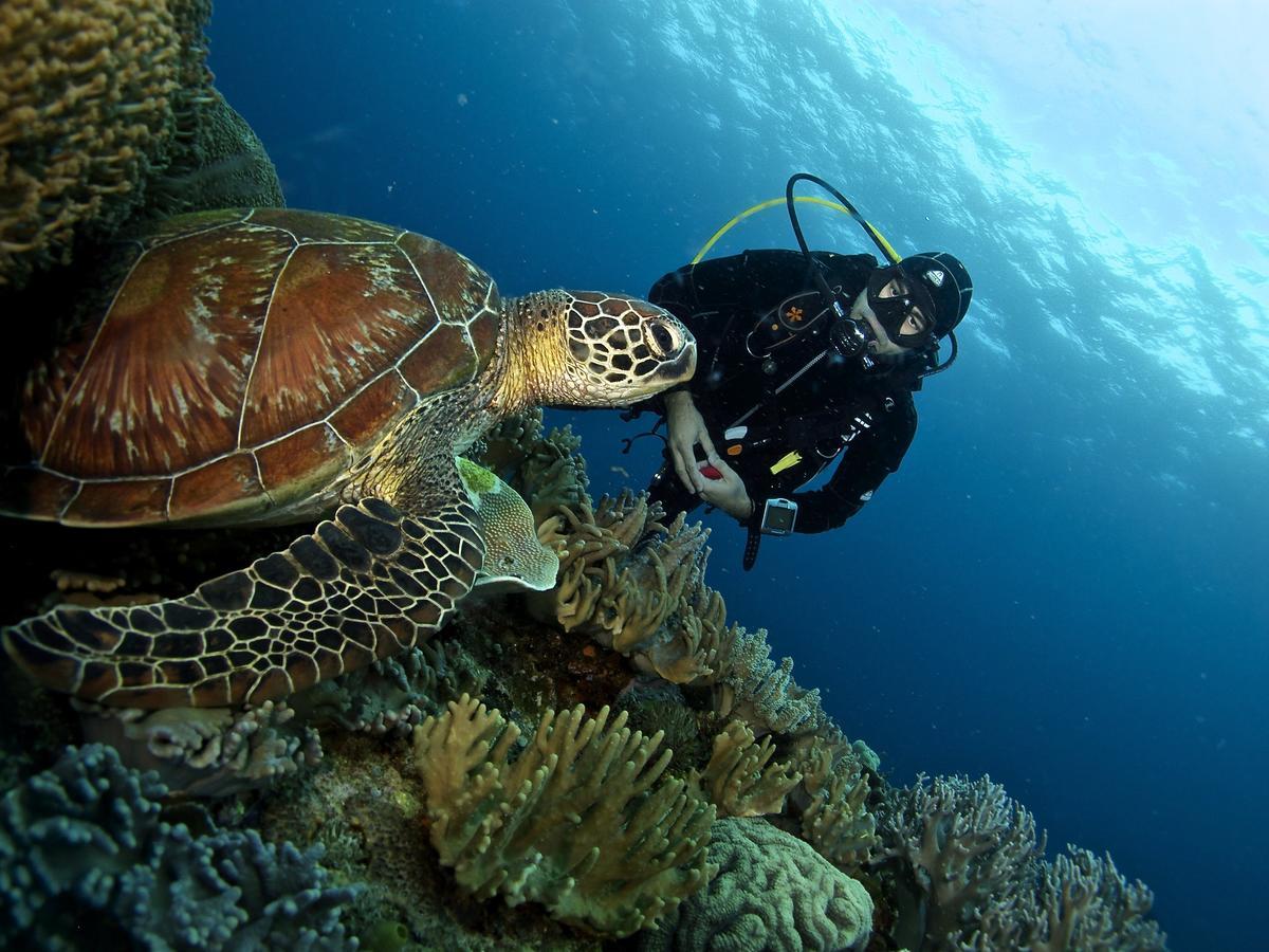 Liquid Dive Resort Dauin Exterior foto